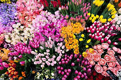 CDPR不会在《巫师4》中使用生成式AI 有潜在法律纠纷