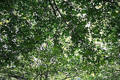 EA将在2月4日零点公布《战地》新作测试消息